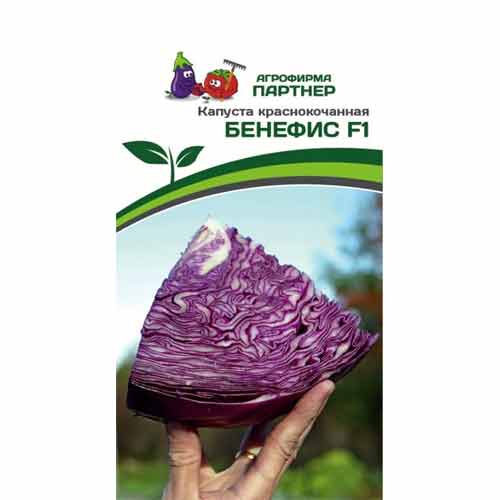 Капуста краснокочанная Бенефис Партнер изображение 1 артикул 40721