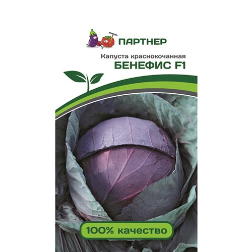 Капуста краснокочанная Бенефис, семена артикул фото 1 Капуста краснокочанная Бенефис, семена изображение 1 артикул 92666