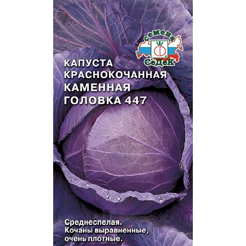 Капуста краснокочанная Каменная головка 447, семена изображение 1 артикул 93375
