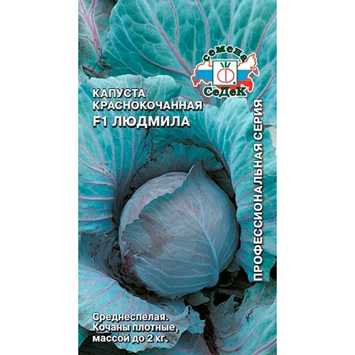 Капуста краснокочанная Людмила F1, семена изображение 1 артикул 93378