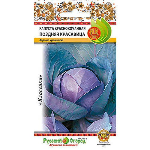 Капуста краснокочанная Поздняя красавица, семена изображение 1 артикул 92319