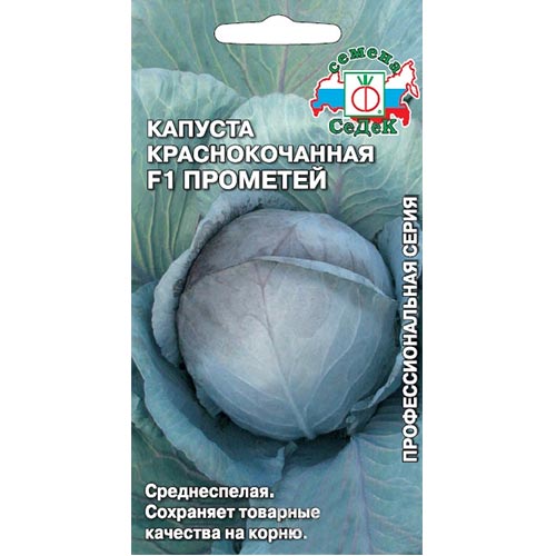 Капуста краснокочанная Прометей F1, семена изображение 1 артикул 93379