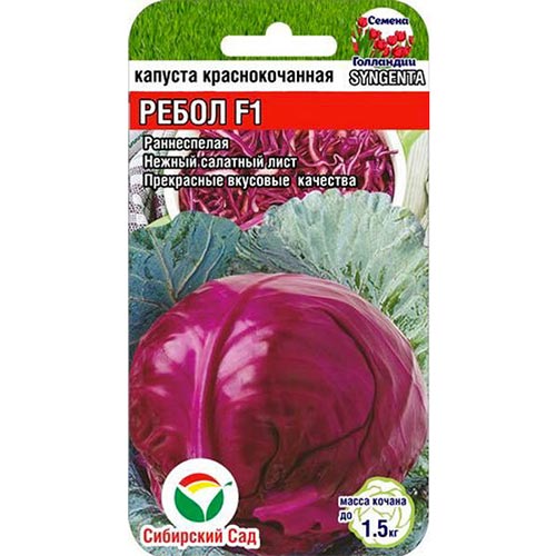 Капуста краснокочанная Ребол F1, семена изображение 1 артикул 94345