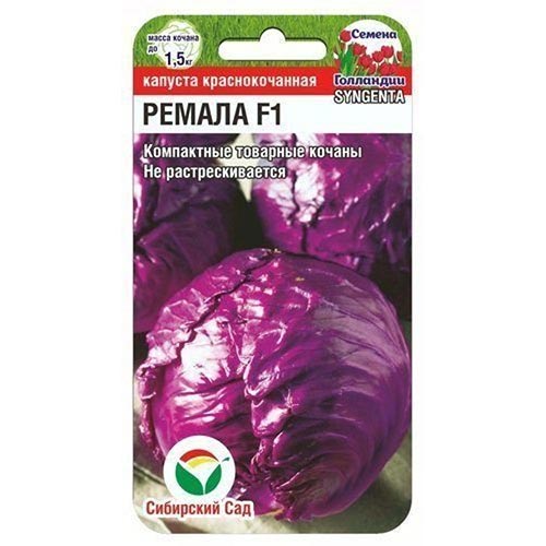 Капуста краснокочанная Ремала F1, семена изображение 1 артикул 94346
