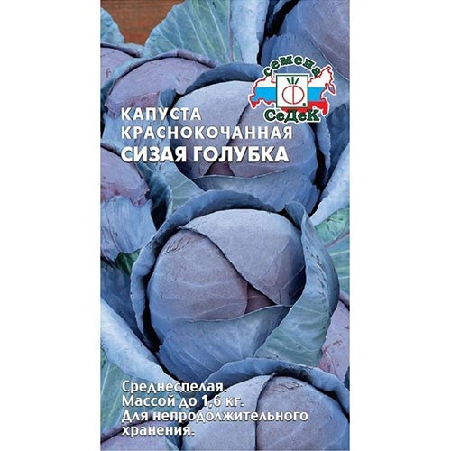 Капуста краснокочанная Сизая голубка, семена изображение 1 артикул 93381