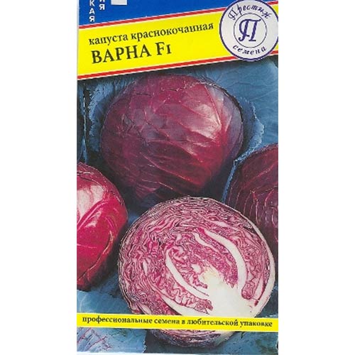Капуста краснокочанная Варна F1 Престиж изображение 1 артикул 71367