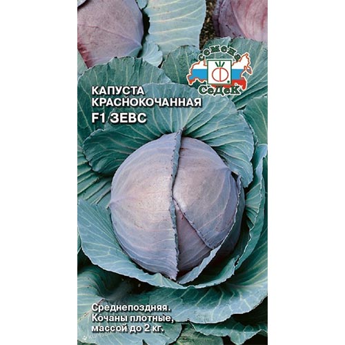 Капуста краснокочанная Зевс F1, семена изображение 1 артикул 93374