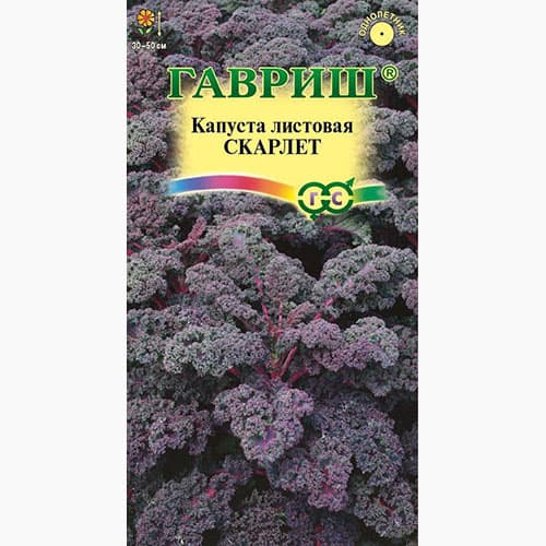 Капуста листовая (кале) Скарлет Гавриш изображение 1 артикул 97433