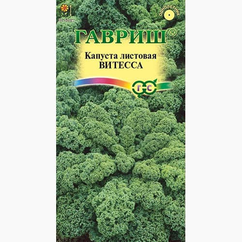 Капуста листовая (кале) Витесса Гавриш изображение 1 артикул 97432