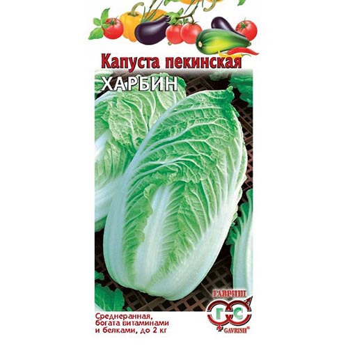 Капуста пекинская Харбин, семена изображение 1 артикул 91704