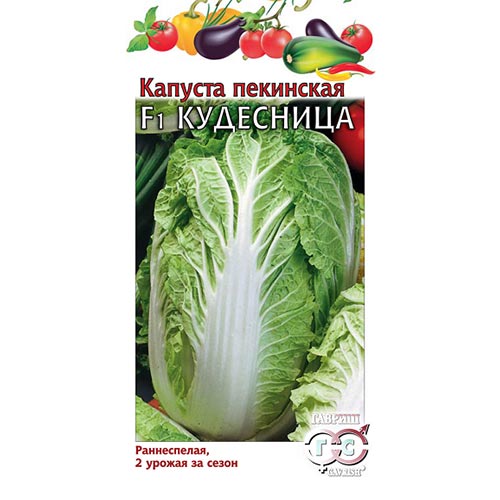 Капуста пекинская Кудесница F1, семена изображение 1 артикул 91703