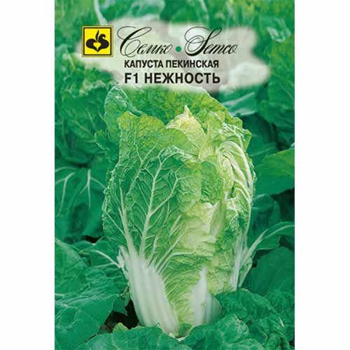 Капуста пекинская Нежность F1 Семко артикул фото 1 Капуста пекинская Нежность F1 Семко изображение 1 артикул 40553