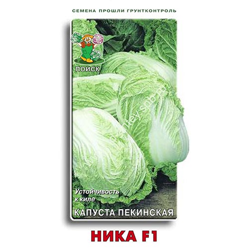 Капуста пекинская Ника F1, семена изображение 1 артикул 92744