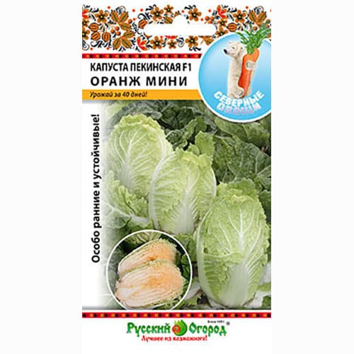 Капуста пекинская Оранж Мини F1 Русский огород НК изображение 1 артикул 84999