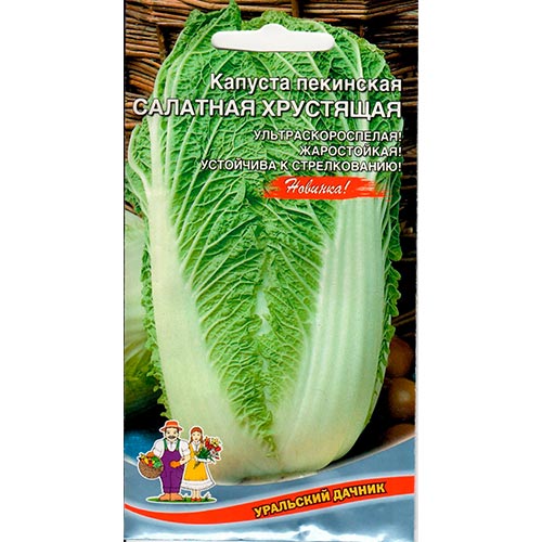 Капуста пекинская Салатная хрустящая, семена изображение 1 артикул 94530