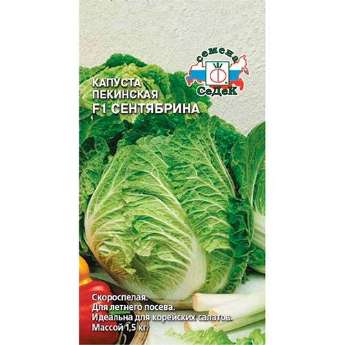Капуста пекинская Сентябрина F1, семена изображение 1 артикул 93388