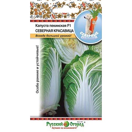 Капуста пекинская Северная красавица F1, семена изображение 1 артикул 92323