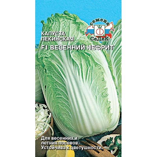 Капуста пекинская Весенний нефрит F1, семена изображение 1 артикул 93383