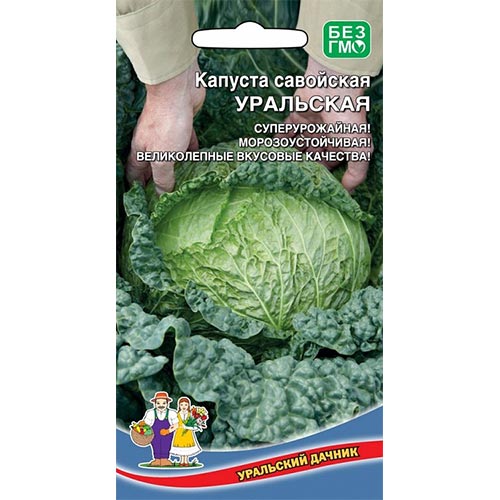 Капуста савойская Уральская, семена артикул фото 1 Капуста савойская Уральская, семена изображение 1 артикул 94535