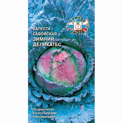 Капуста савойская Зимний деликатес Седек изображение 1 артикул 93389