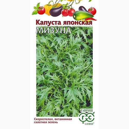 Капуста японская Мизуна Гавриш артикул фото 1 Капуста японская Мизуна Гавриш изображение 1 артикул 97436