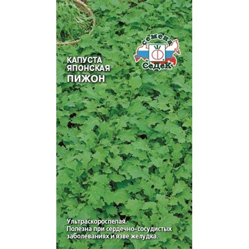 Капуста японская Пижон, семена артикул фото 1 Капуста японская Пижон, семена изображение 1 артикул 93402