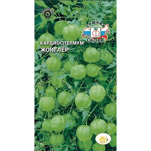 Кардиоспермум Жонглер, семена изображение 1 артикул 93806