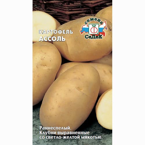 Картофель Ассоль Седек изображение 1 артикул 93404
