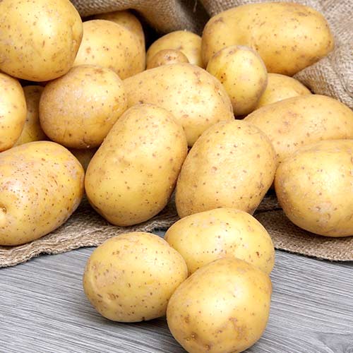 Картофель Фермер Седек изображение 1 артикул 84895