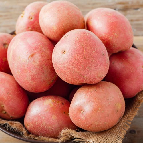 Картофель Гранд изображение 1 артикул 1093