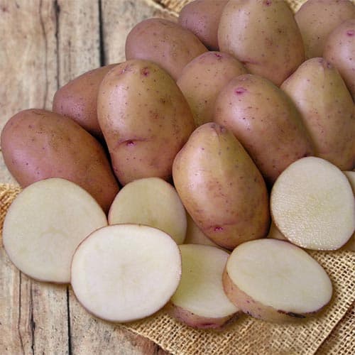 Картофель Корнет изображение 1 артикул 9622