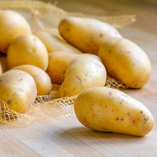 Картофель Королева Анна изображение 1 артикул 9623