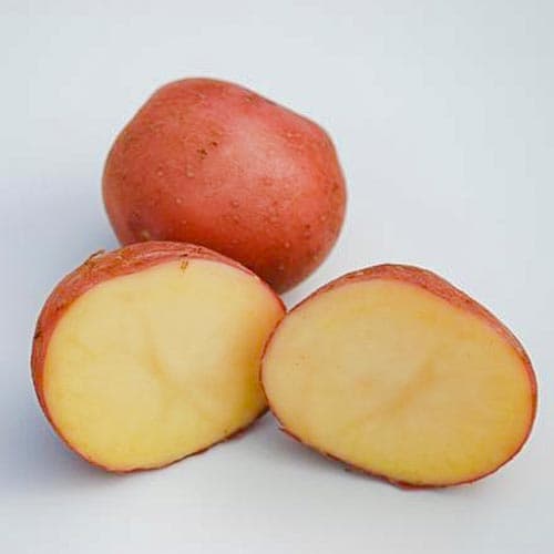 Картофель Леди Розетта изображение 1 артикул 9624