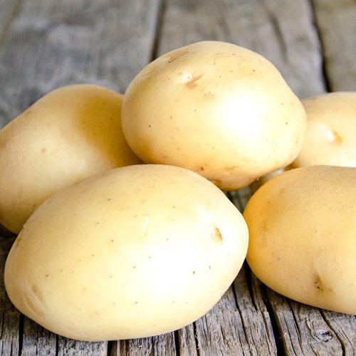 Картофель Лидер Седек изображение 1 артикул 84891