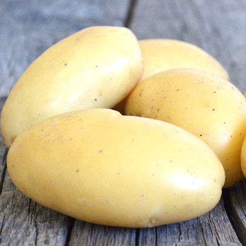 Картофель Метеор изображение 1 артикул 7865