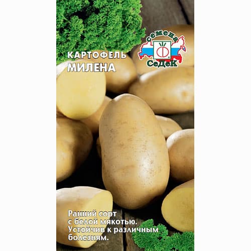Картофель Милена Седек изображение 1 артикул 84892