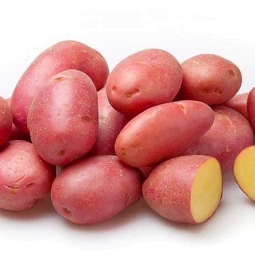 Картофель Родриго изображение 1 артикул 9628