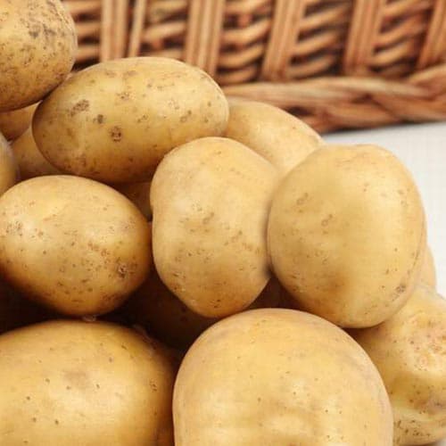 Картофель Скороспелка изображение 1 артикул 9630