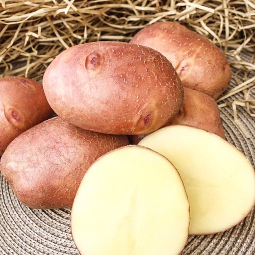 Картофель Взрывной изображение 1 артикул 7876