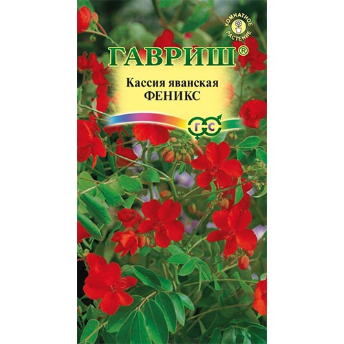 Кассия Феникс, семена артикул фото 1 Кассия Феникс, семена изображение 1 артикул 92073