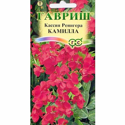 Кассия Ренигера, семена артикул фото 1 Кассия Ренигера, семена изображение 1 артикул 92072