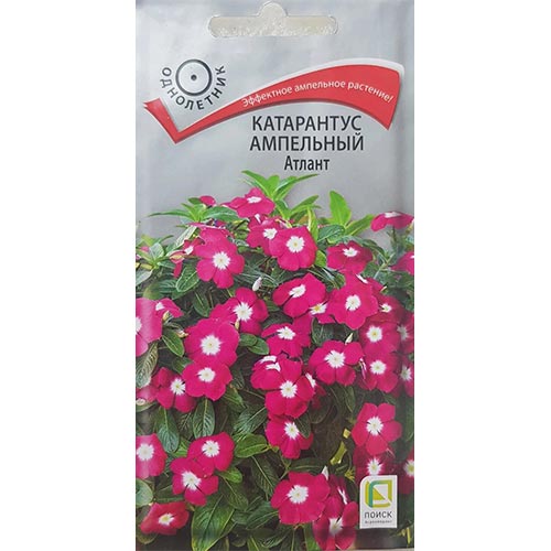 Катарантус ампельный Атлант, семена изображение 1 артикул 92999