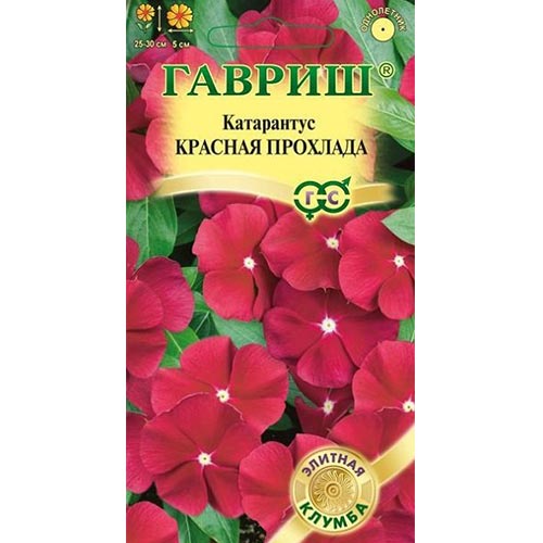 Катарантус Красная прохлада, семена изображение 1 артикул 92074