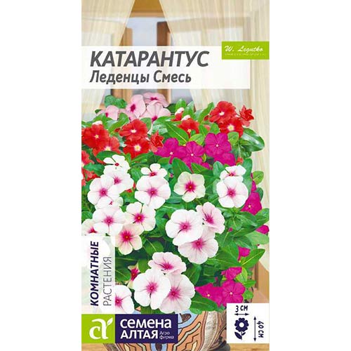 Катарантус Леденцы, смесь окрасок Семена Алтая изображение 1 артикул 84753
