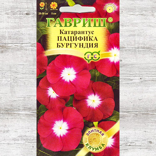 Катарантус Пацифика Бургунди Гавриш изображение 1 артикул 71187