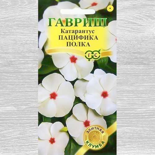 Катарантус Пацифика Полка Гавриш изображение 1 артикул 82385