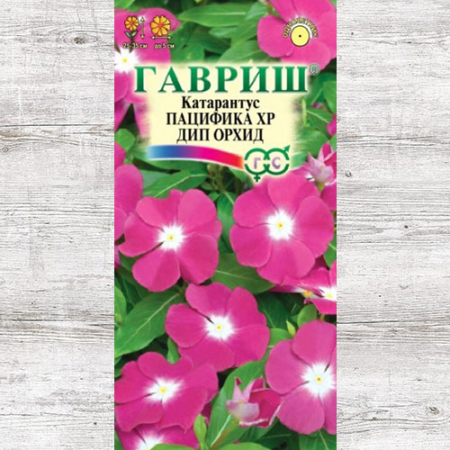 Катарантус Пацифика XP Дип Орхид Гавриш изображение 1 артикул 71189