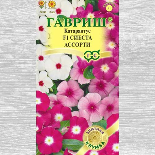Катарантус Сиеста ассорти, смесь окрасок Гавриш изображение 1 артикул 73857