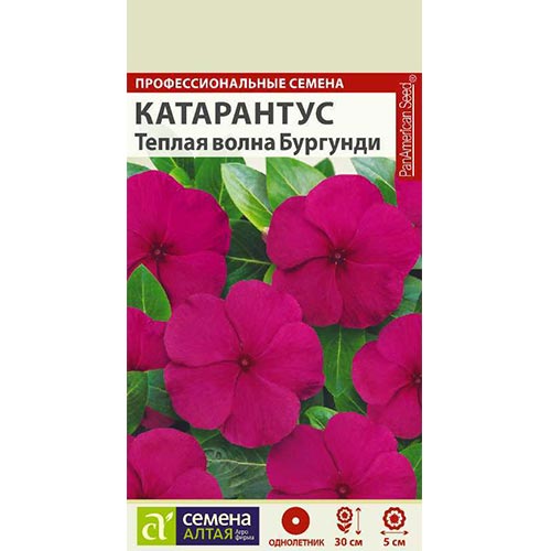 Катарантус Теплая волна Бургунди, семена изображение 1 артикул 94173