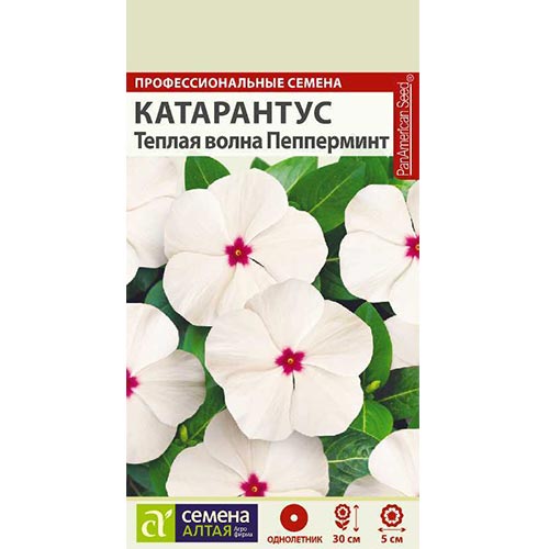 Катарантус Теплая волна Пеперминт, семена изображение 1 артикул 94174